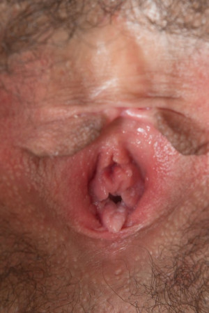 Грудастая любительница показывает внутреннюю часть своей волосатой киски после того, как разделась догола. Фото 11